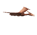 Uživatelský avatar