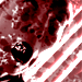 Uživatelský avatar
